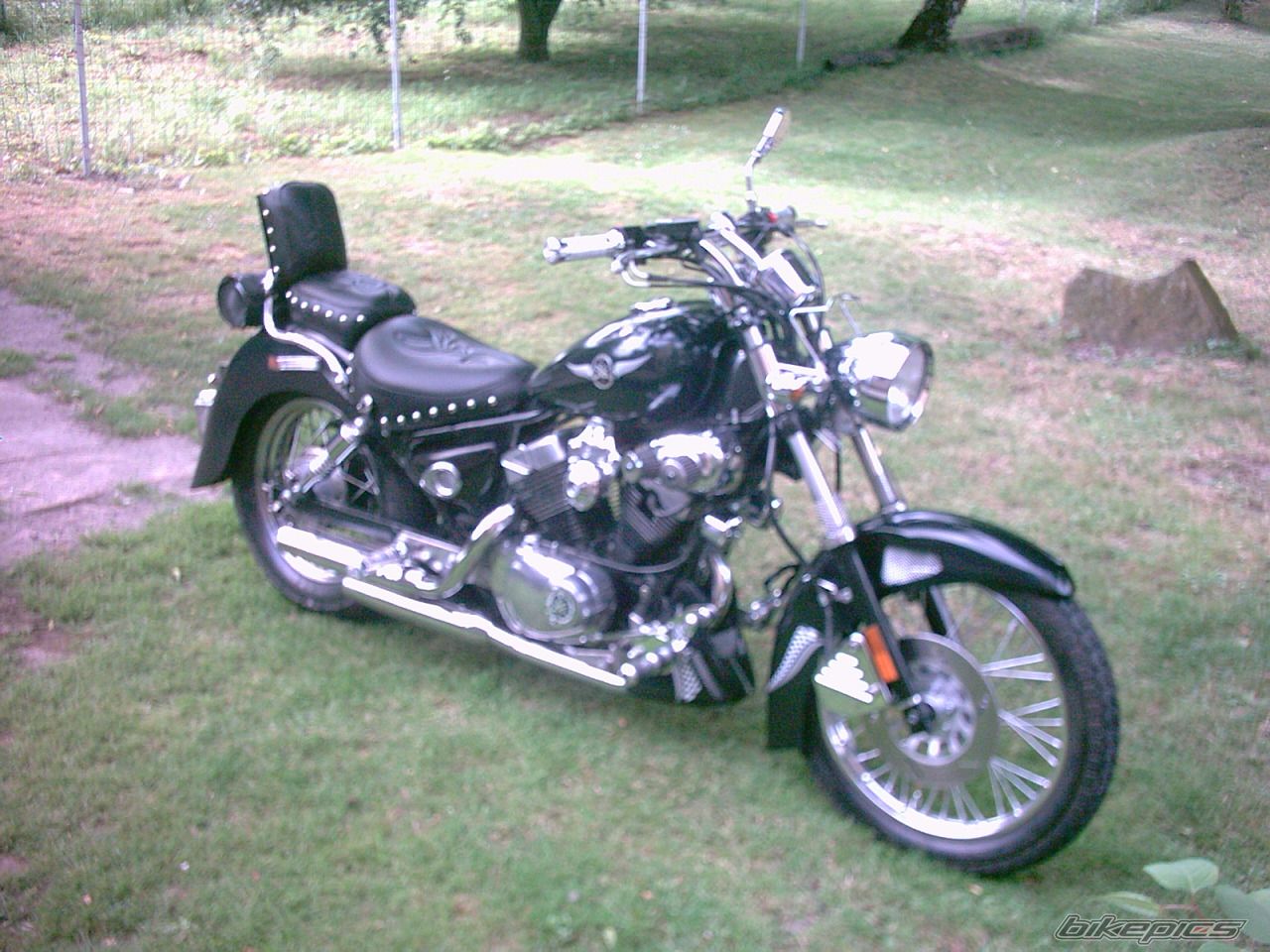 Photo 1463958