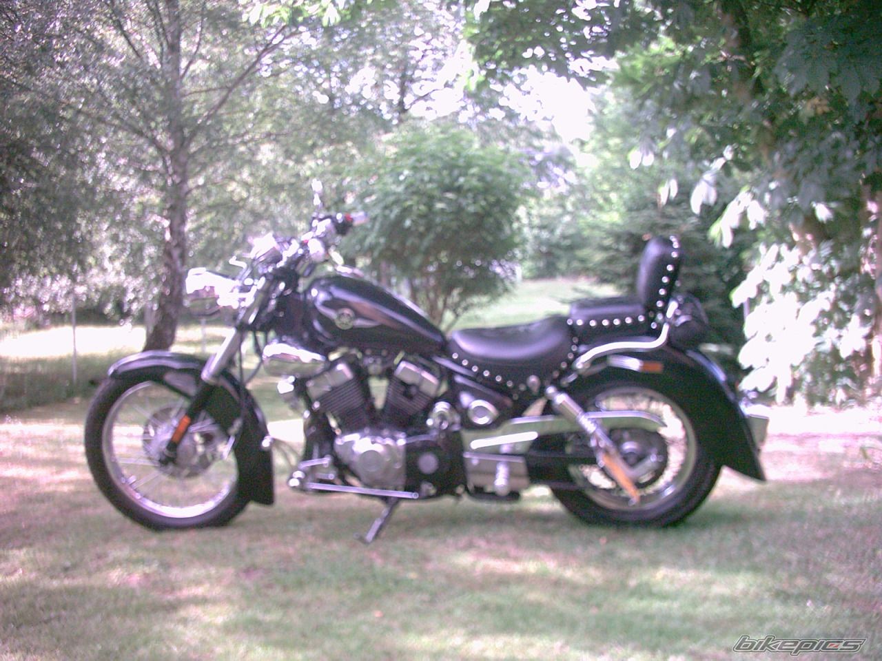 Photo 1463962
