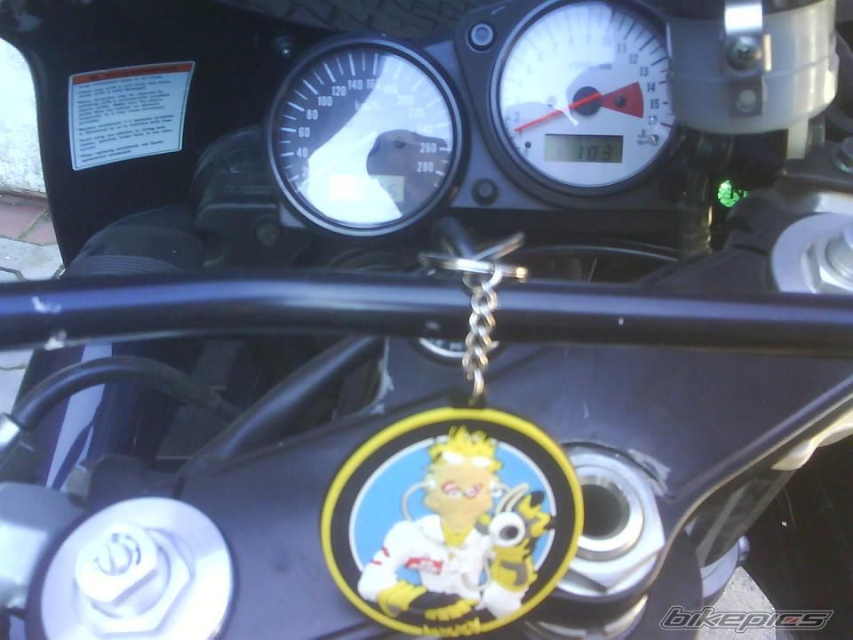 Photo 1464003