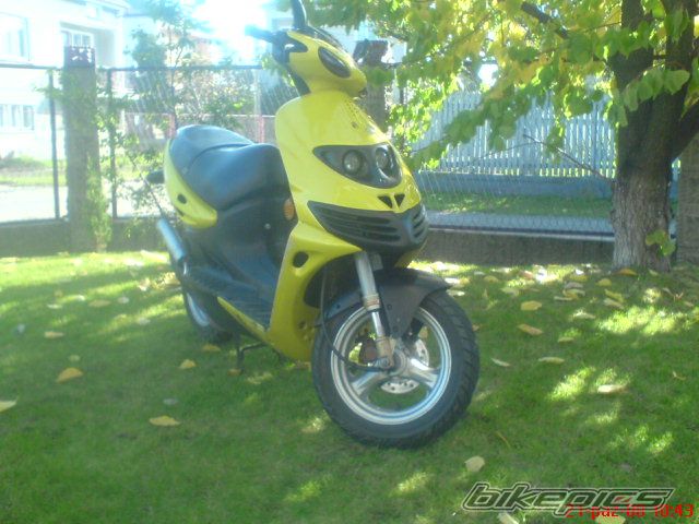 Photo 1464013