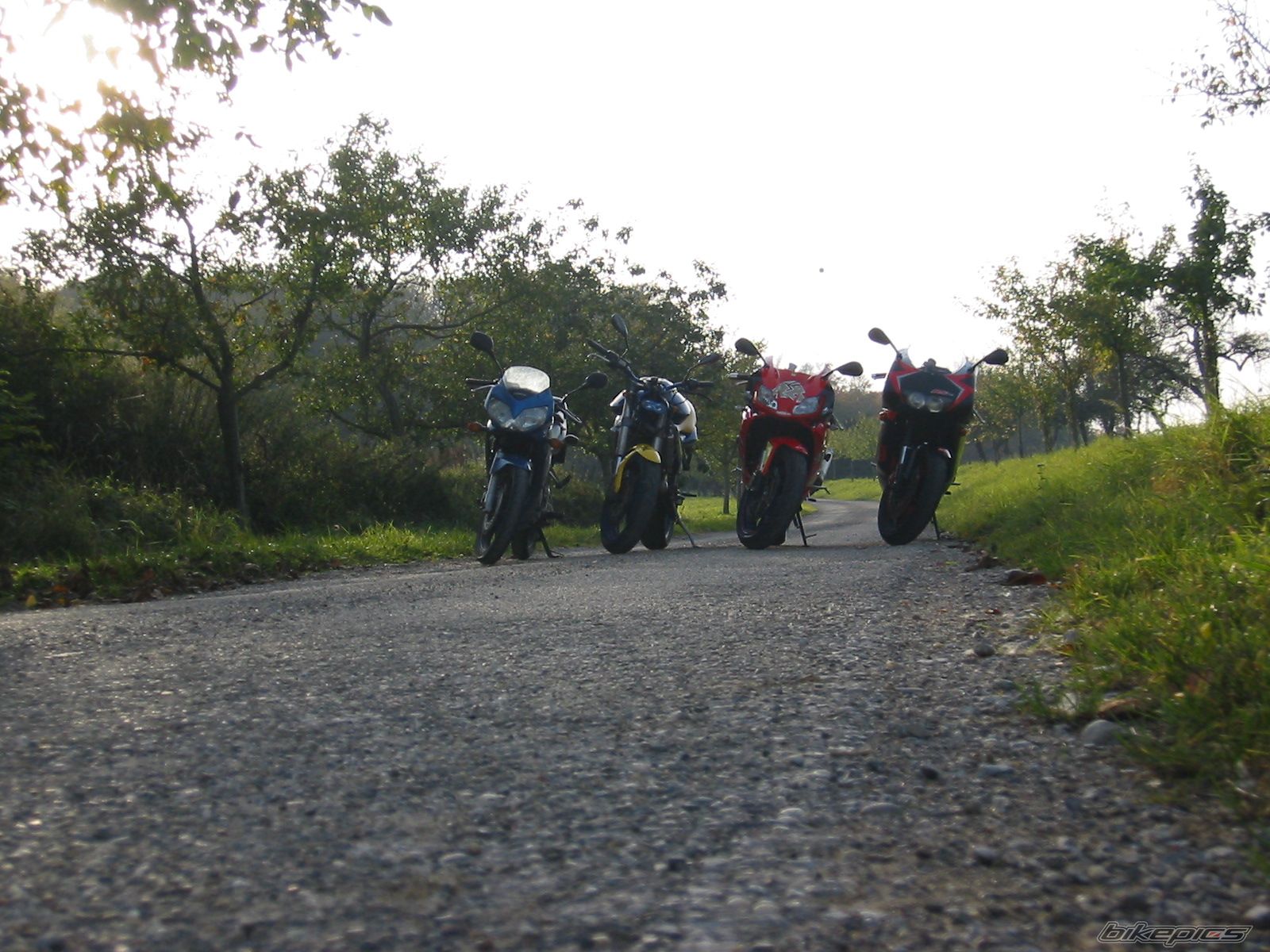 Photo 1464070