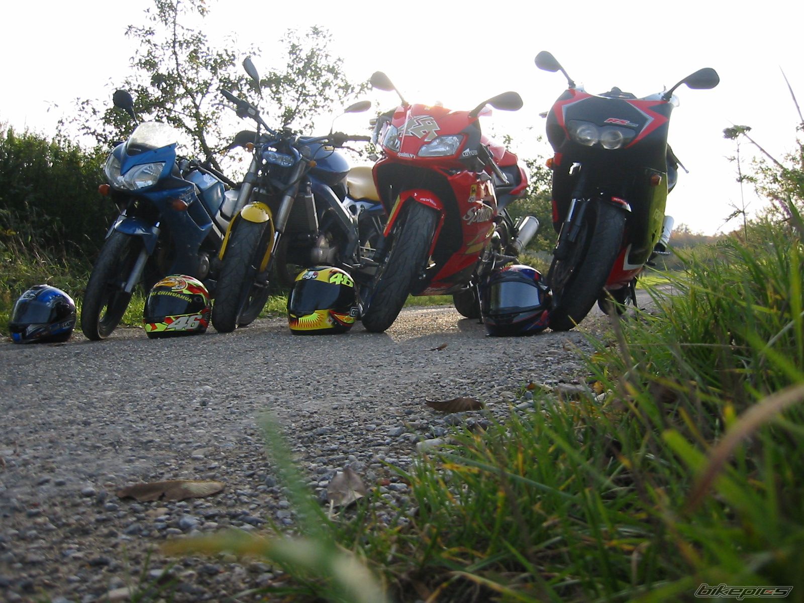 Photo 1464074