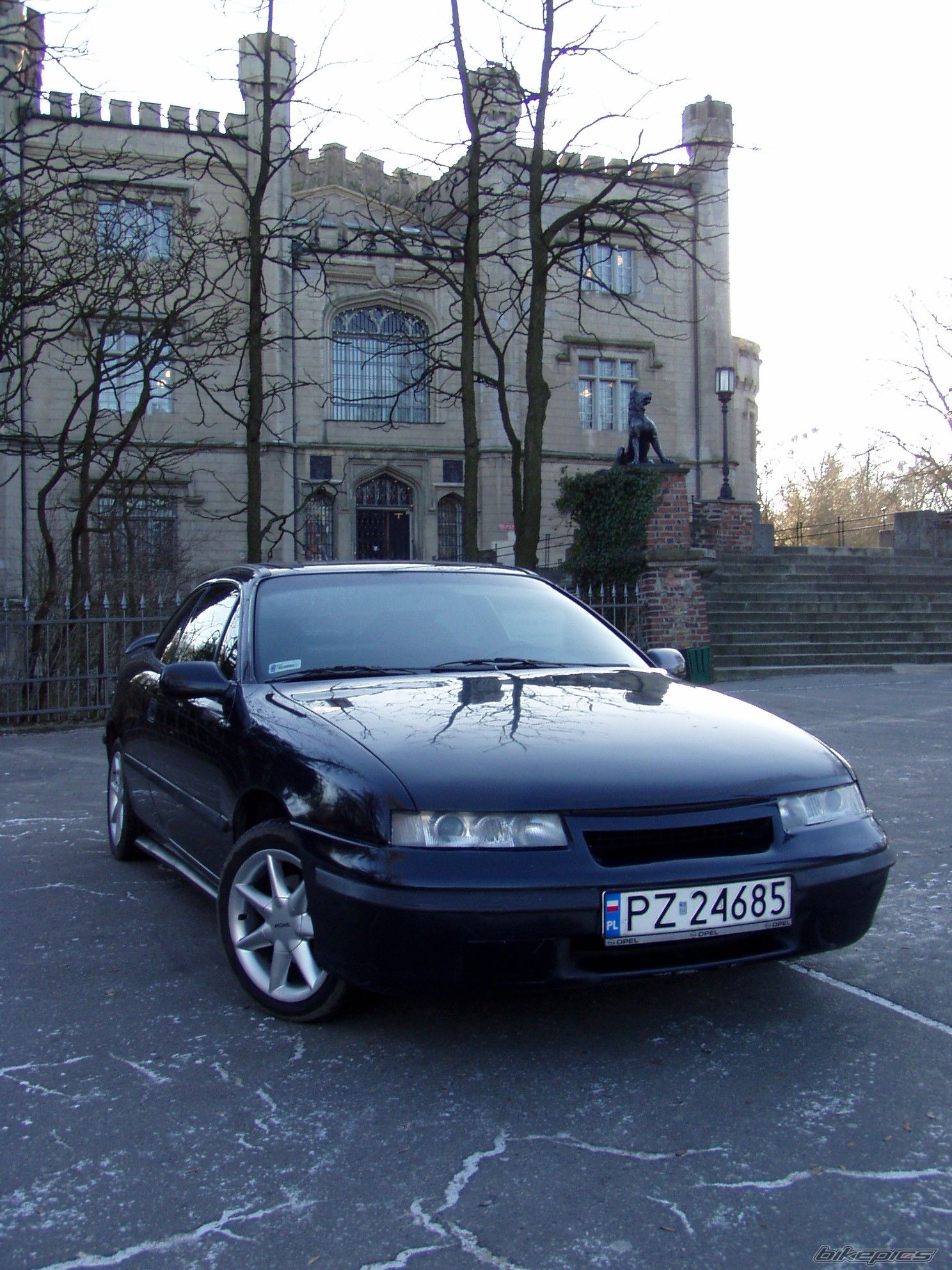 Photo 1464150