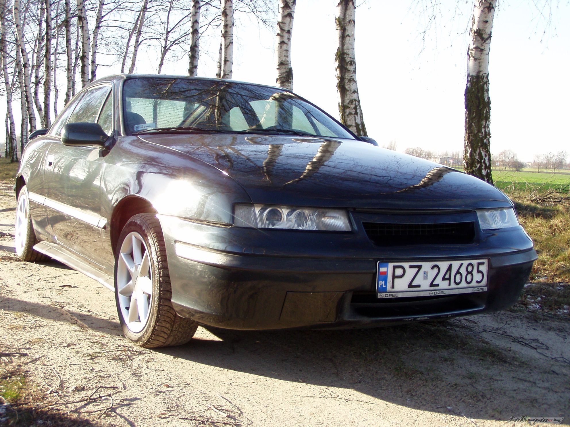 Photo 1464152