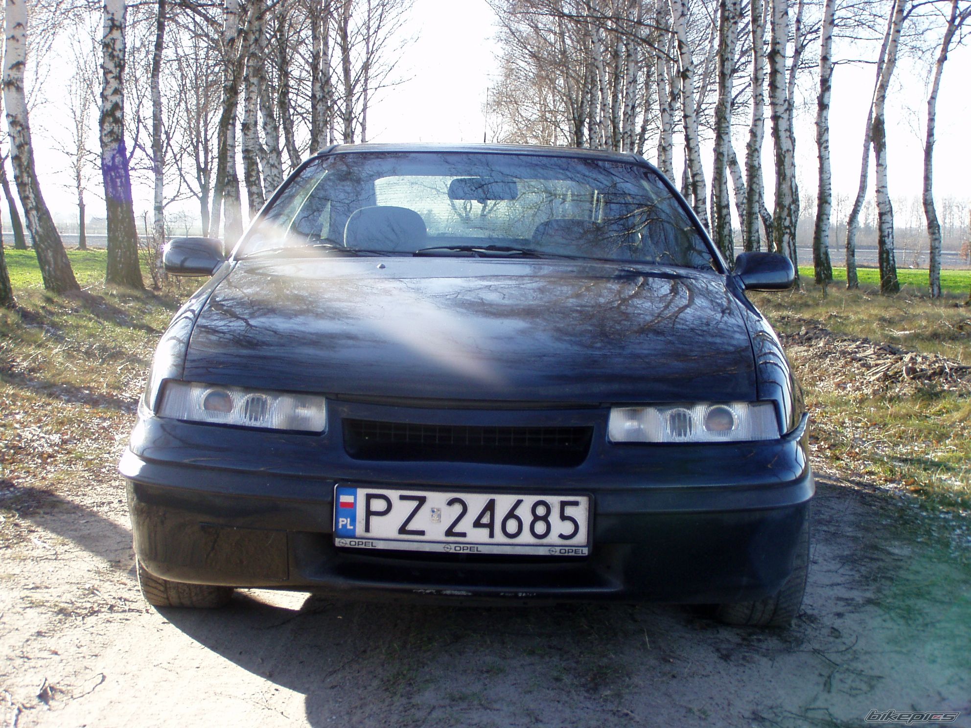 Photo 1464156