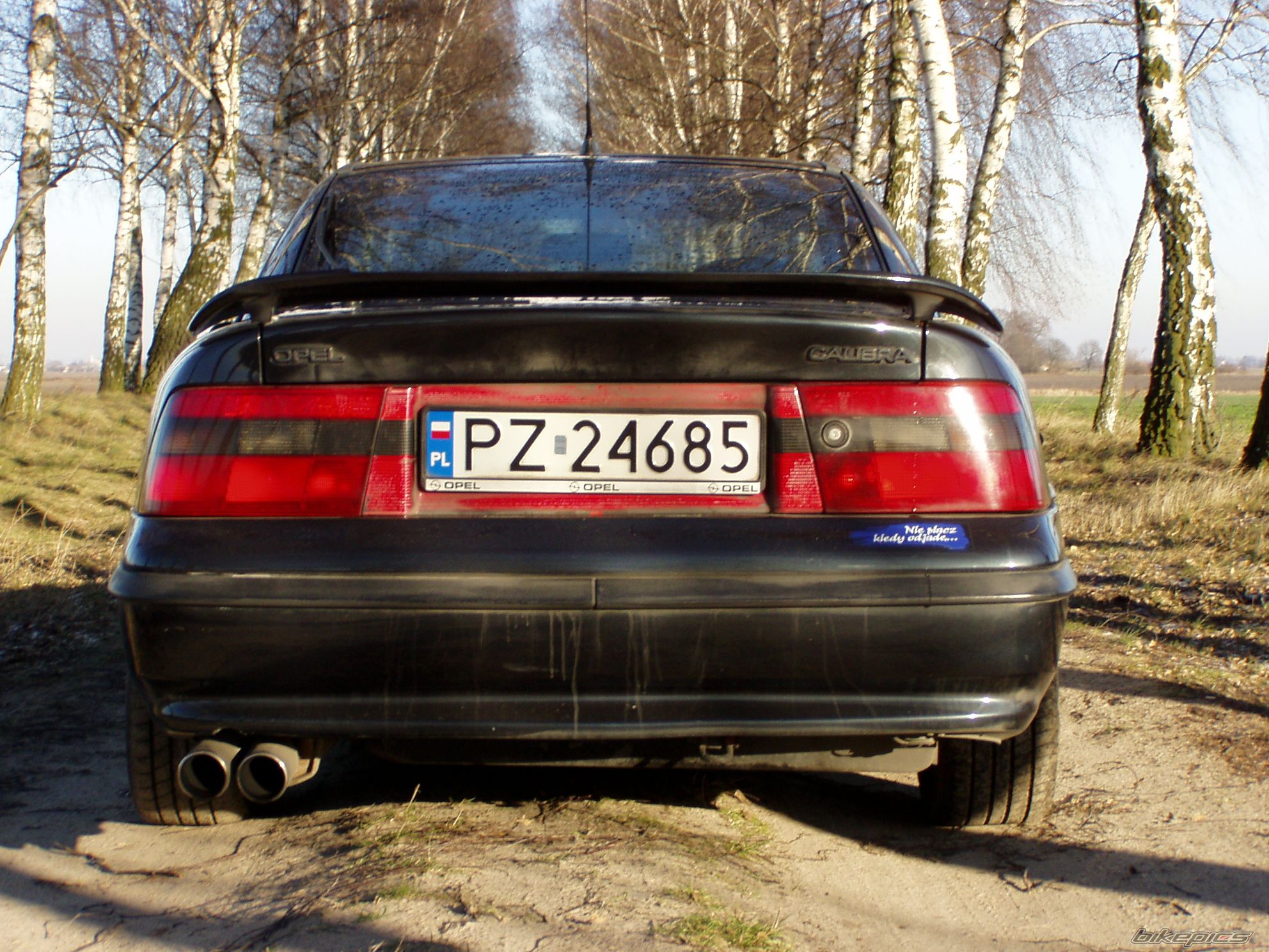 Photo 1464162