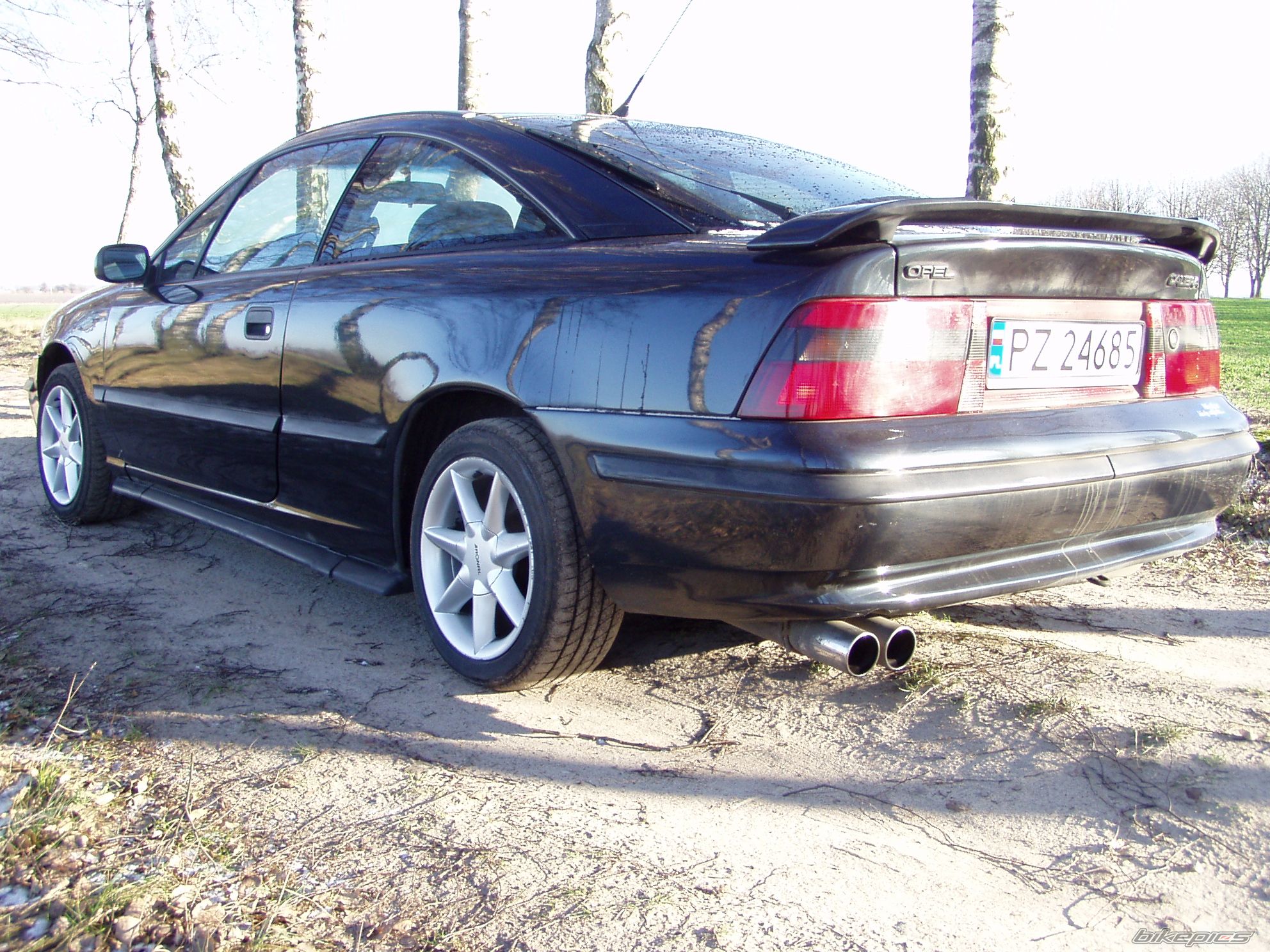 Photo 1464164