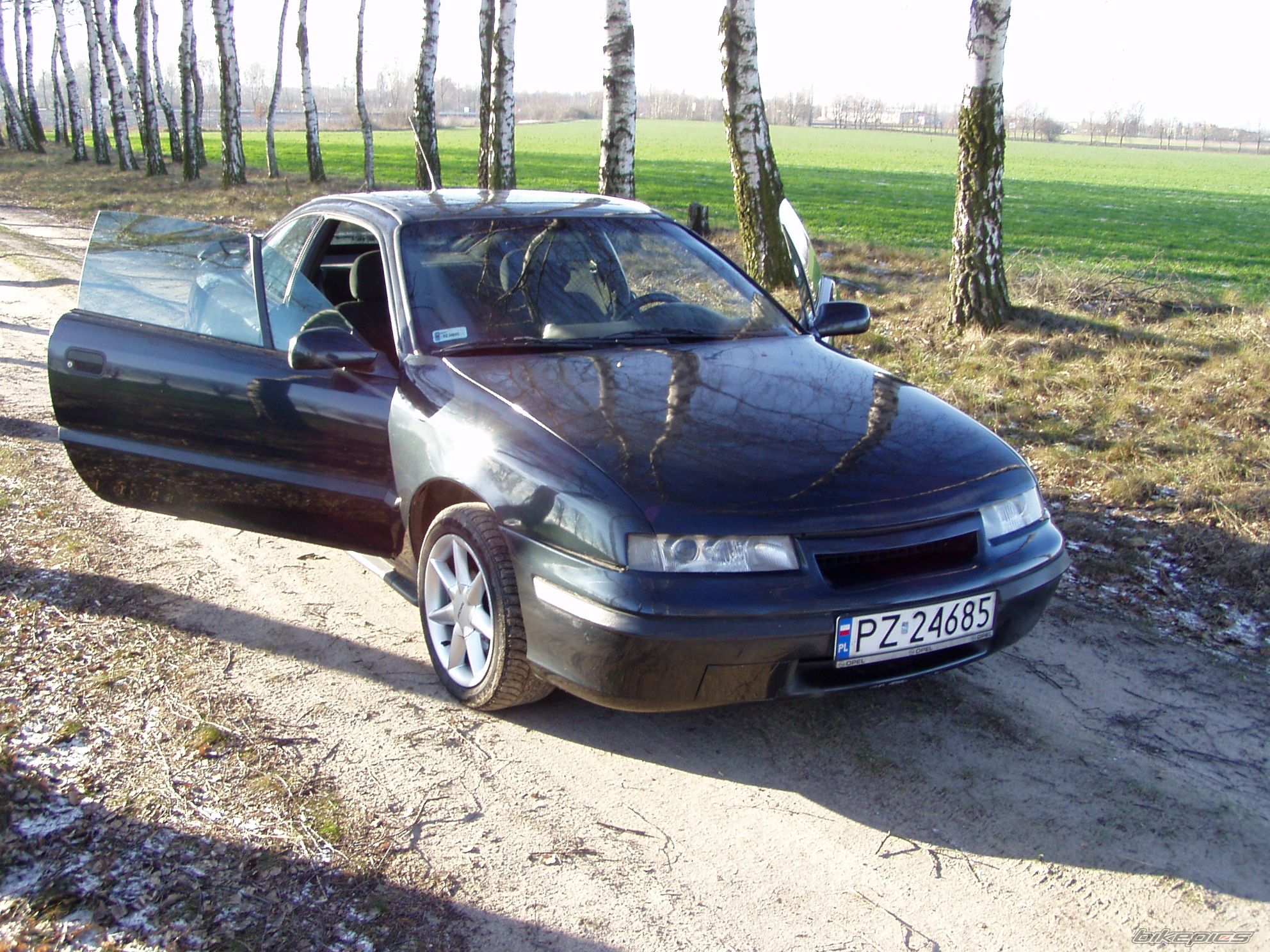 Photo 1464169