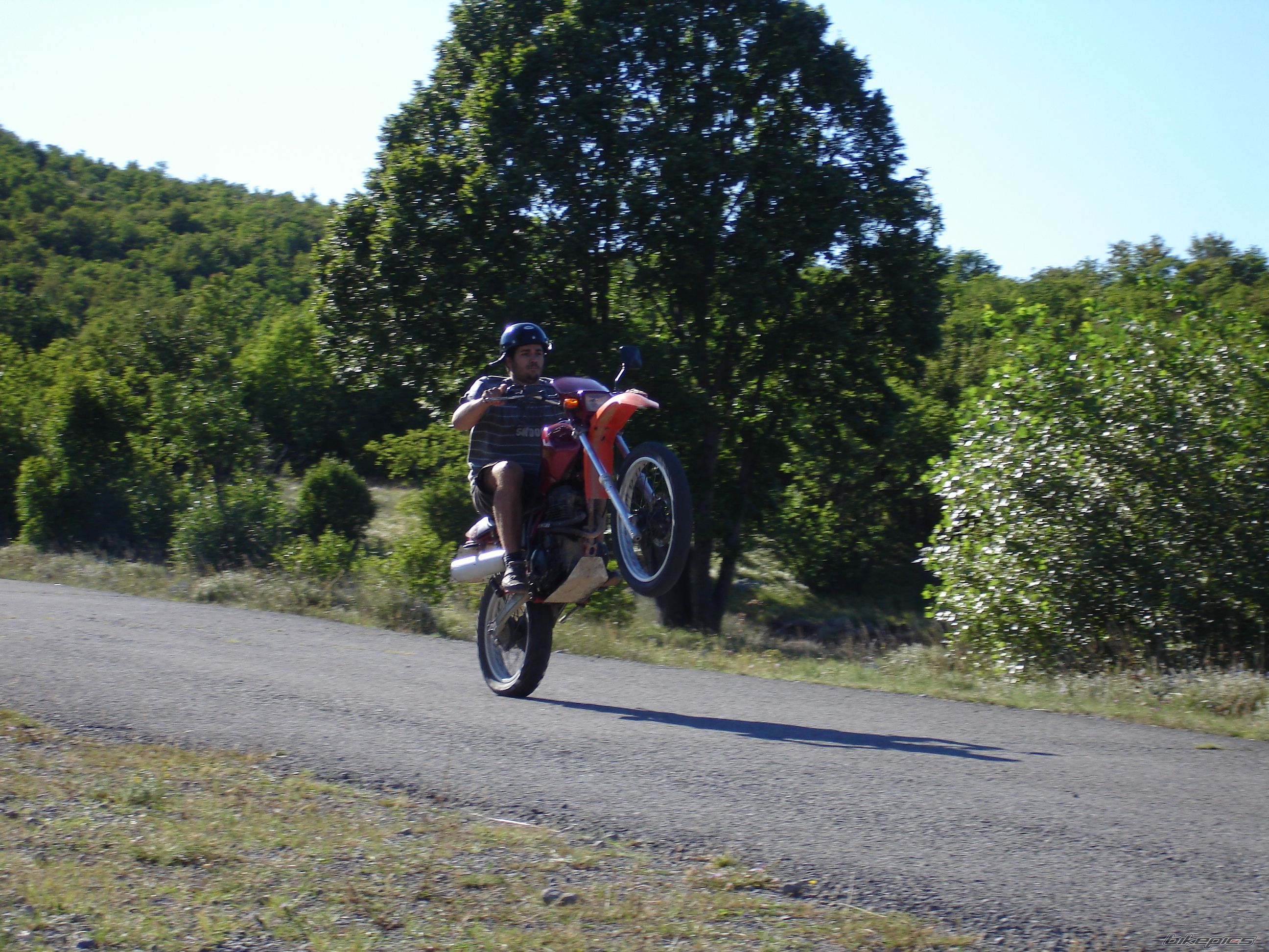 Photo 1464175
