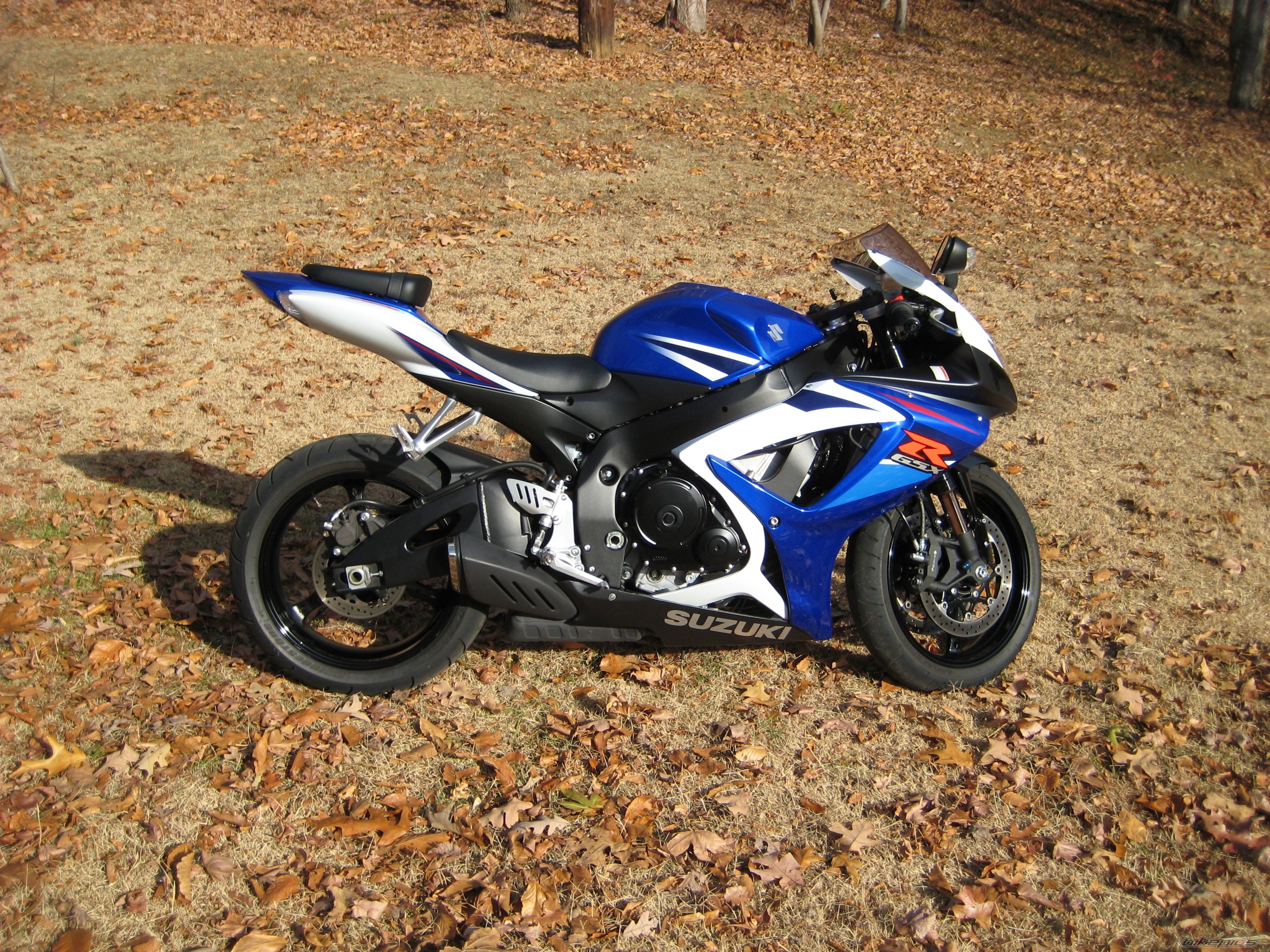 Photo 1464179