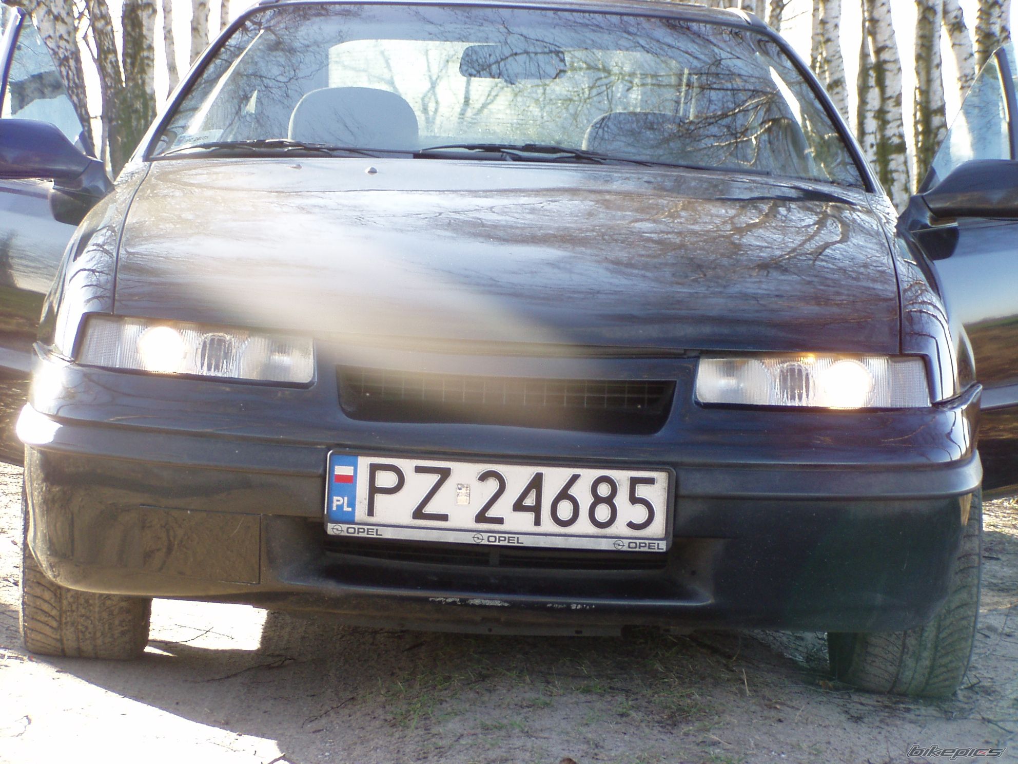 Photo 1464208
