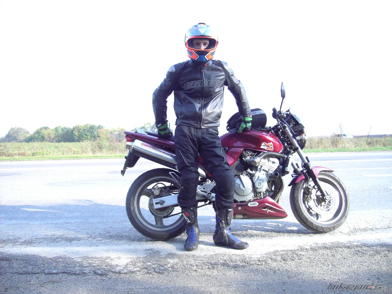 Photo 1464225