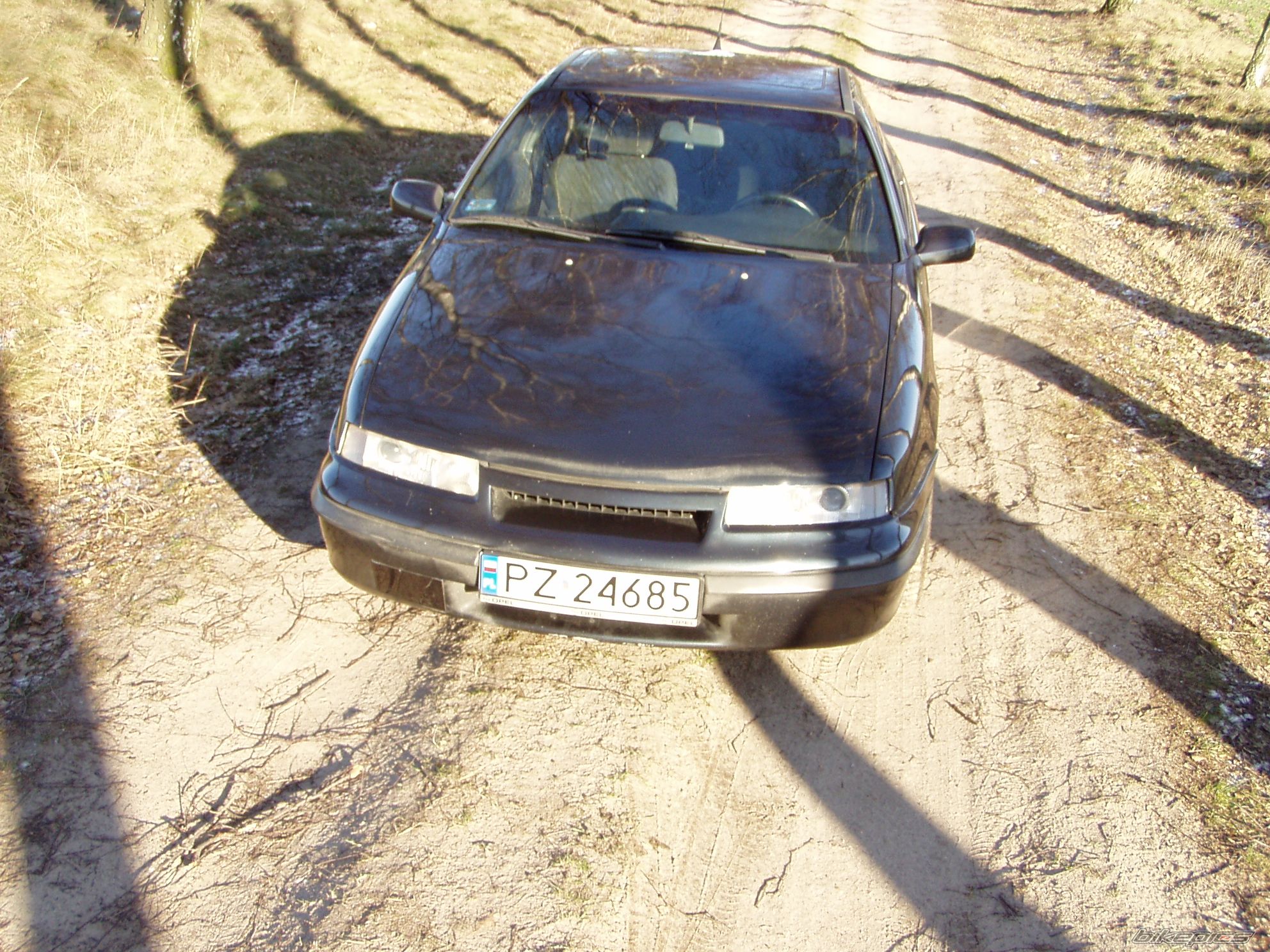 Photo 1464226