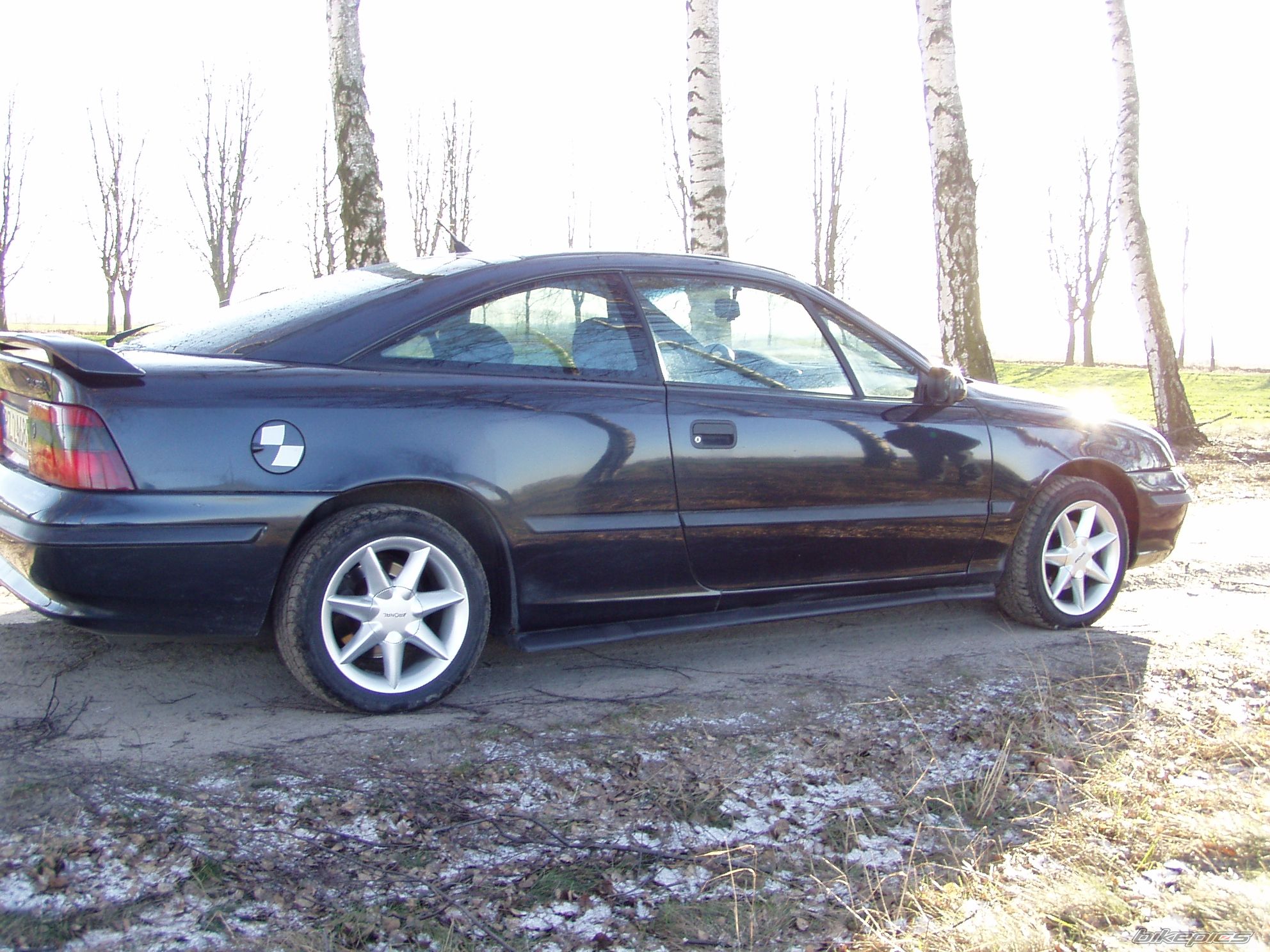 Photo 1464227