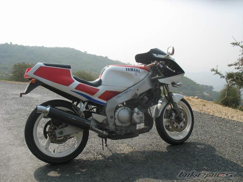 Photo 1464229