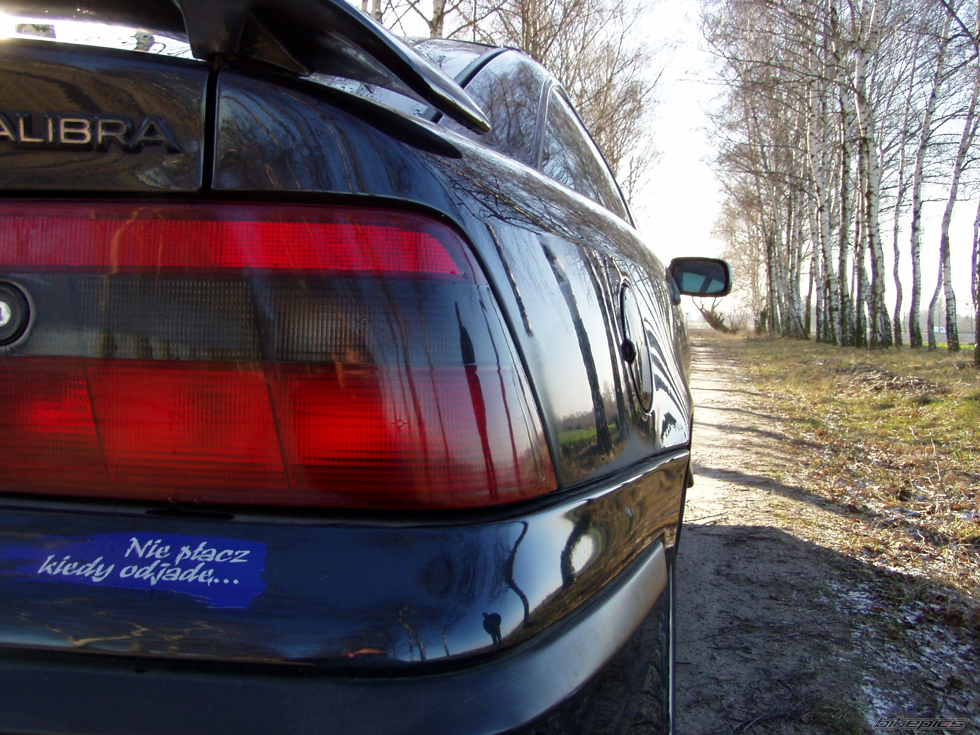 Photo 1464236