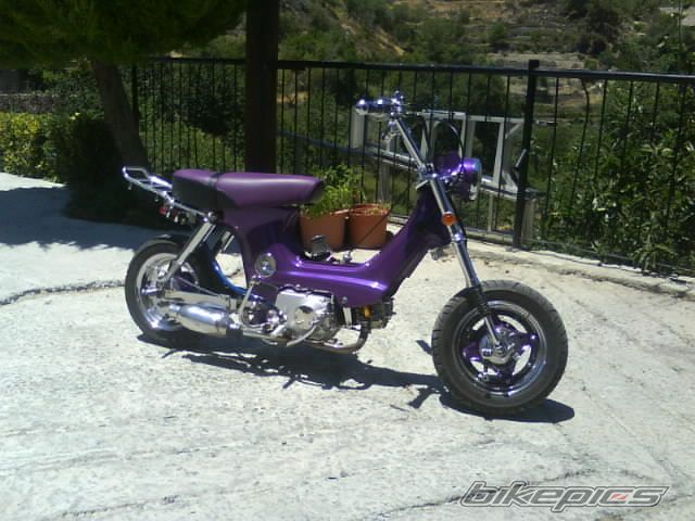 Photo 1464274
