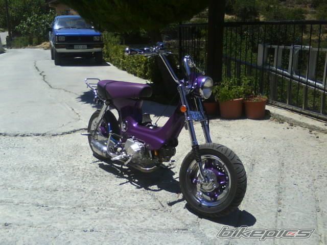 Photo 1464280