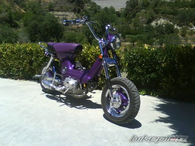 Photo 1464282