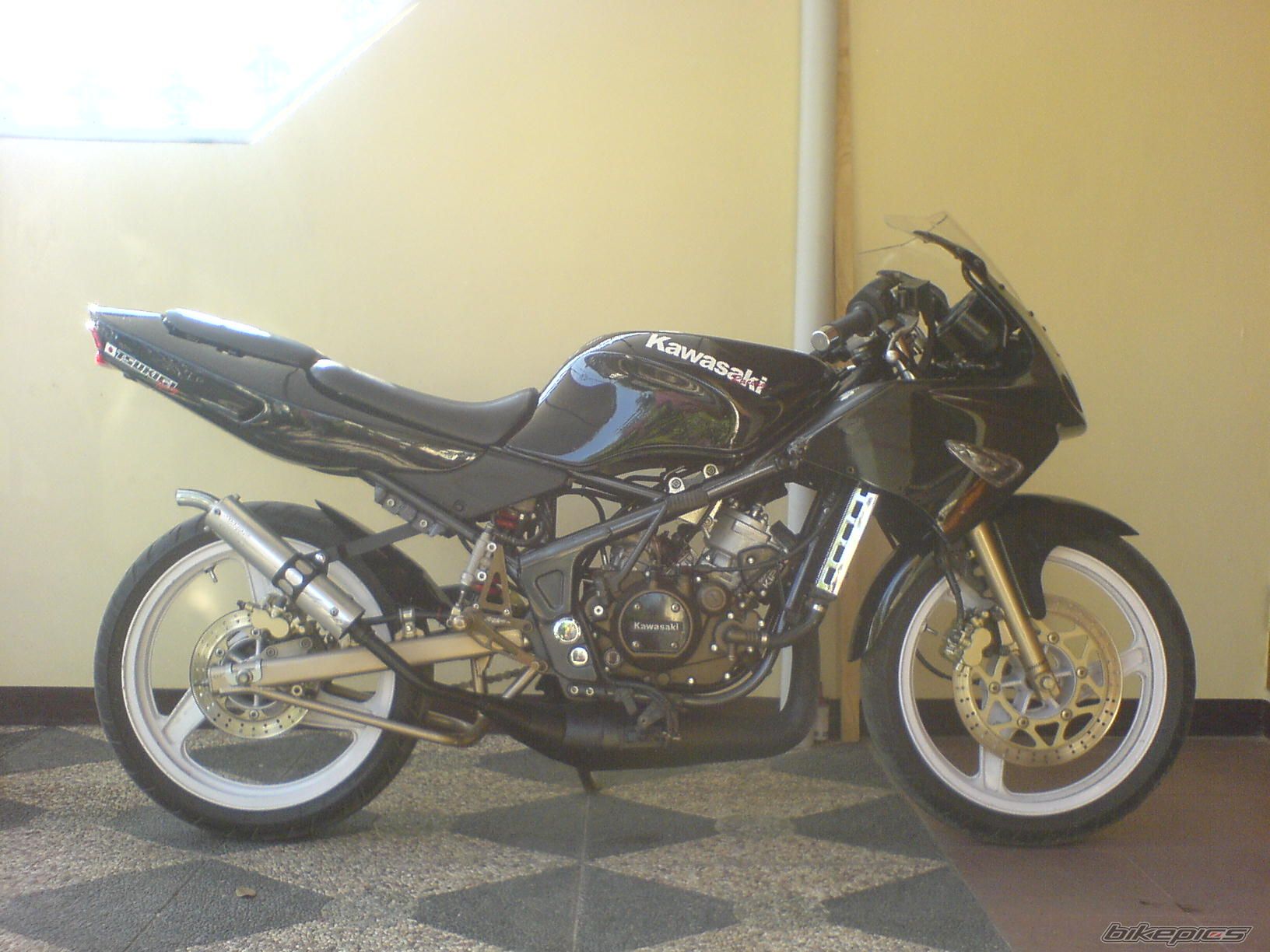 Photo 1464353