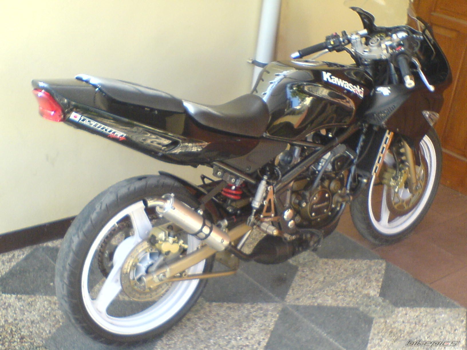 Photo 1464355