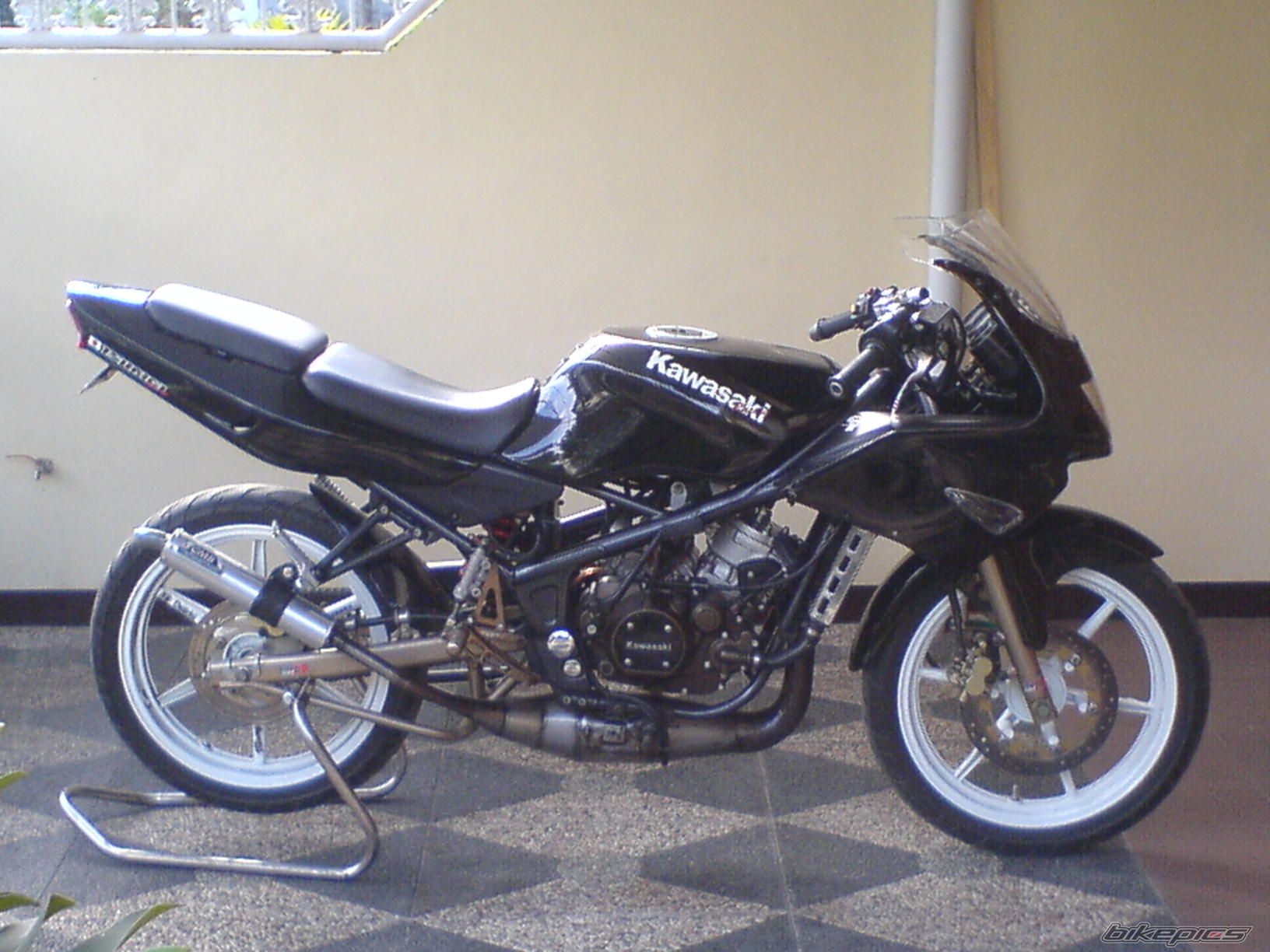 Photo 1464358