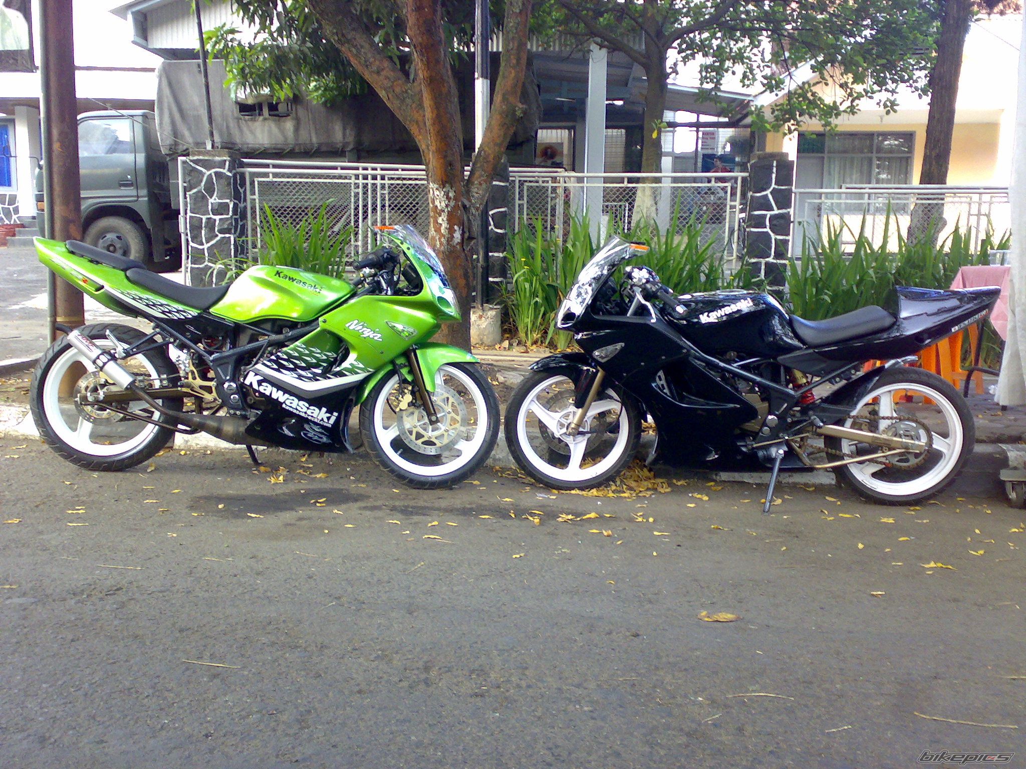 Photo 1464388