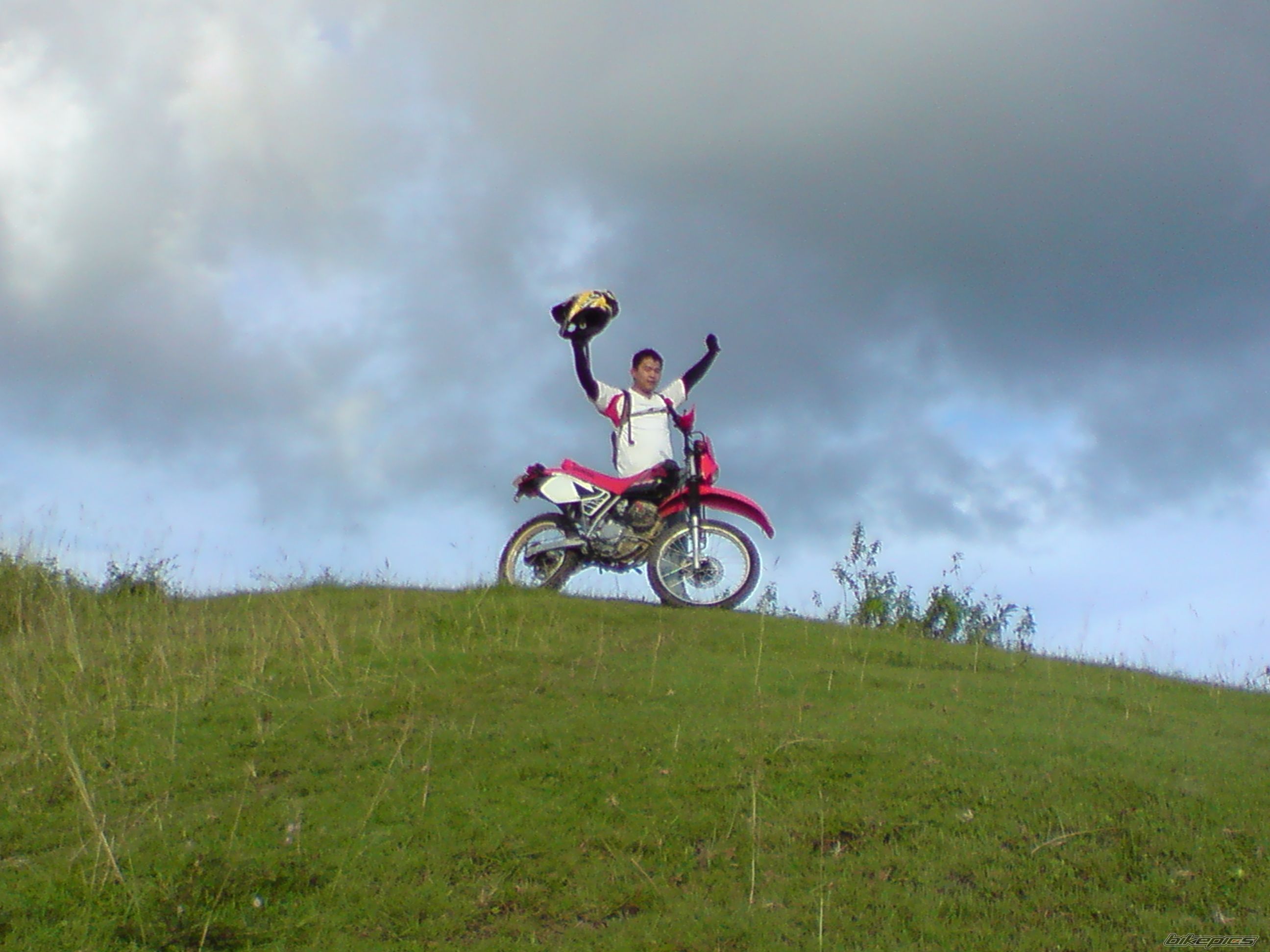 Photo 1464398