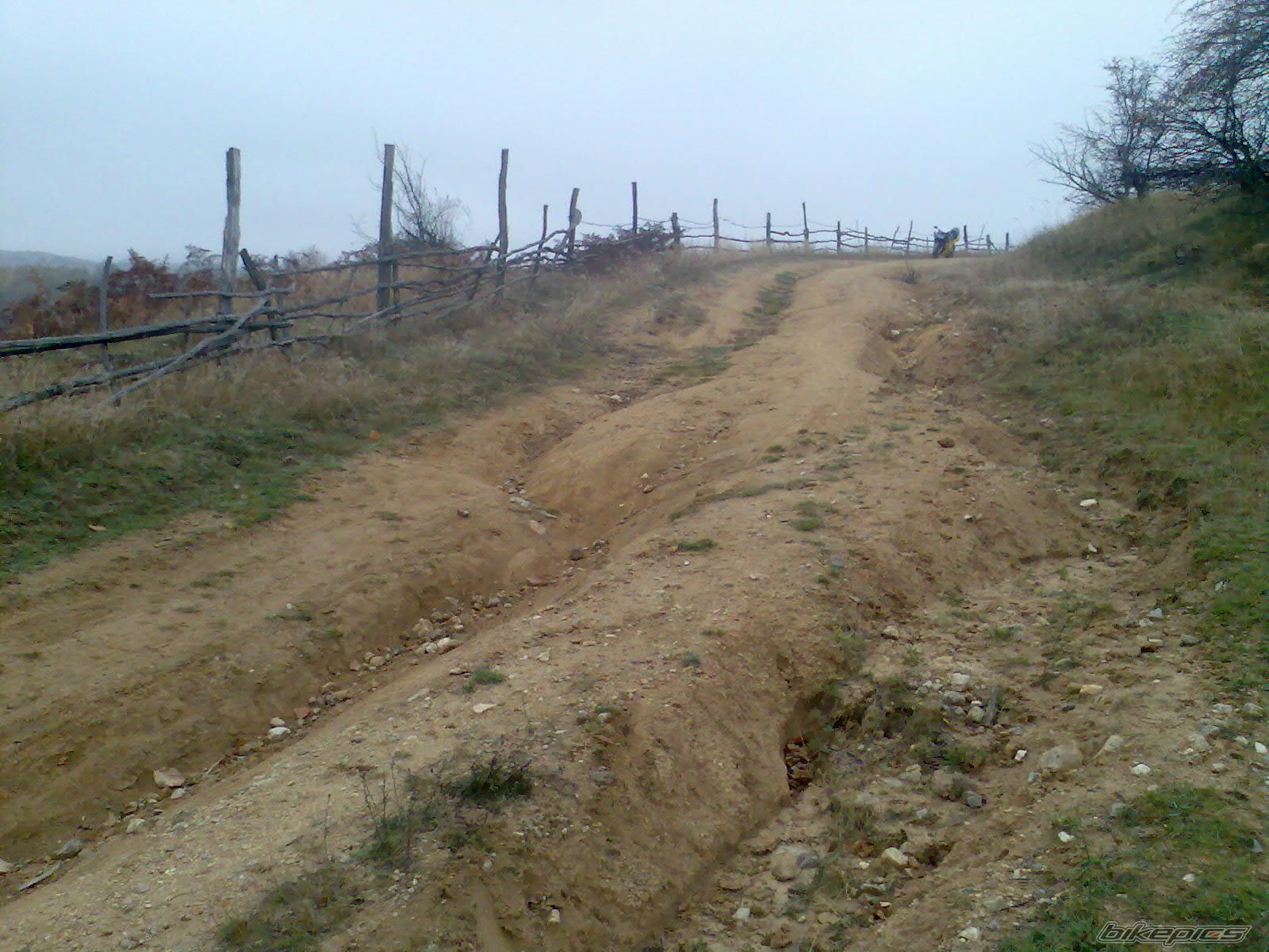 Photo 1464434