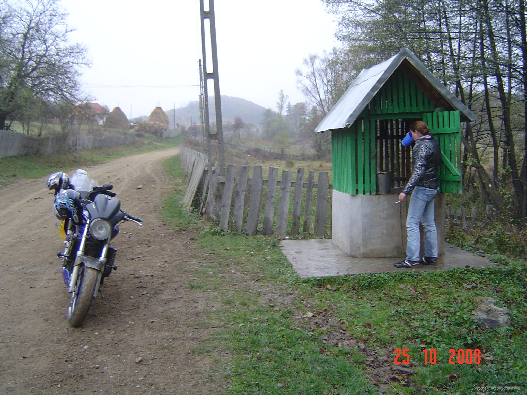 Photo 1464465