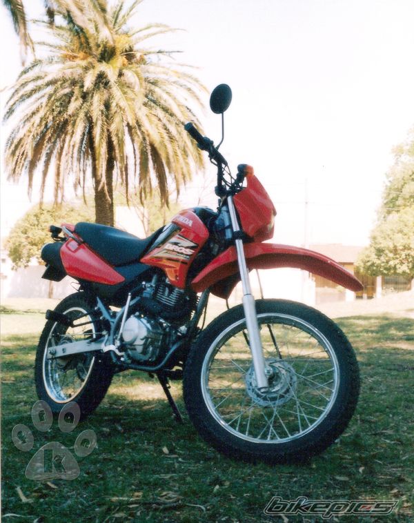 Photo 1464496