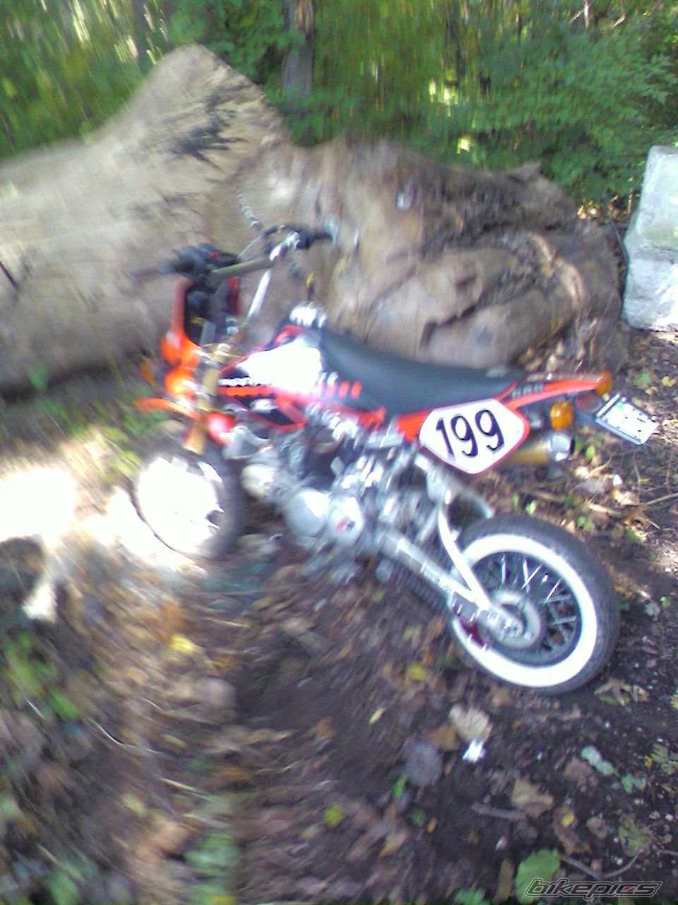 Photo 1464509