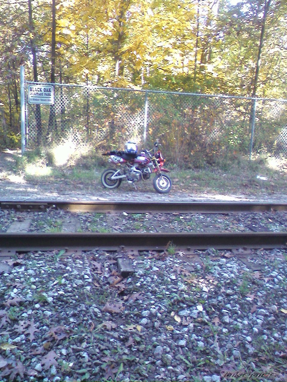 Photo 1464510