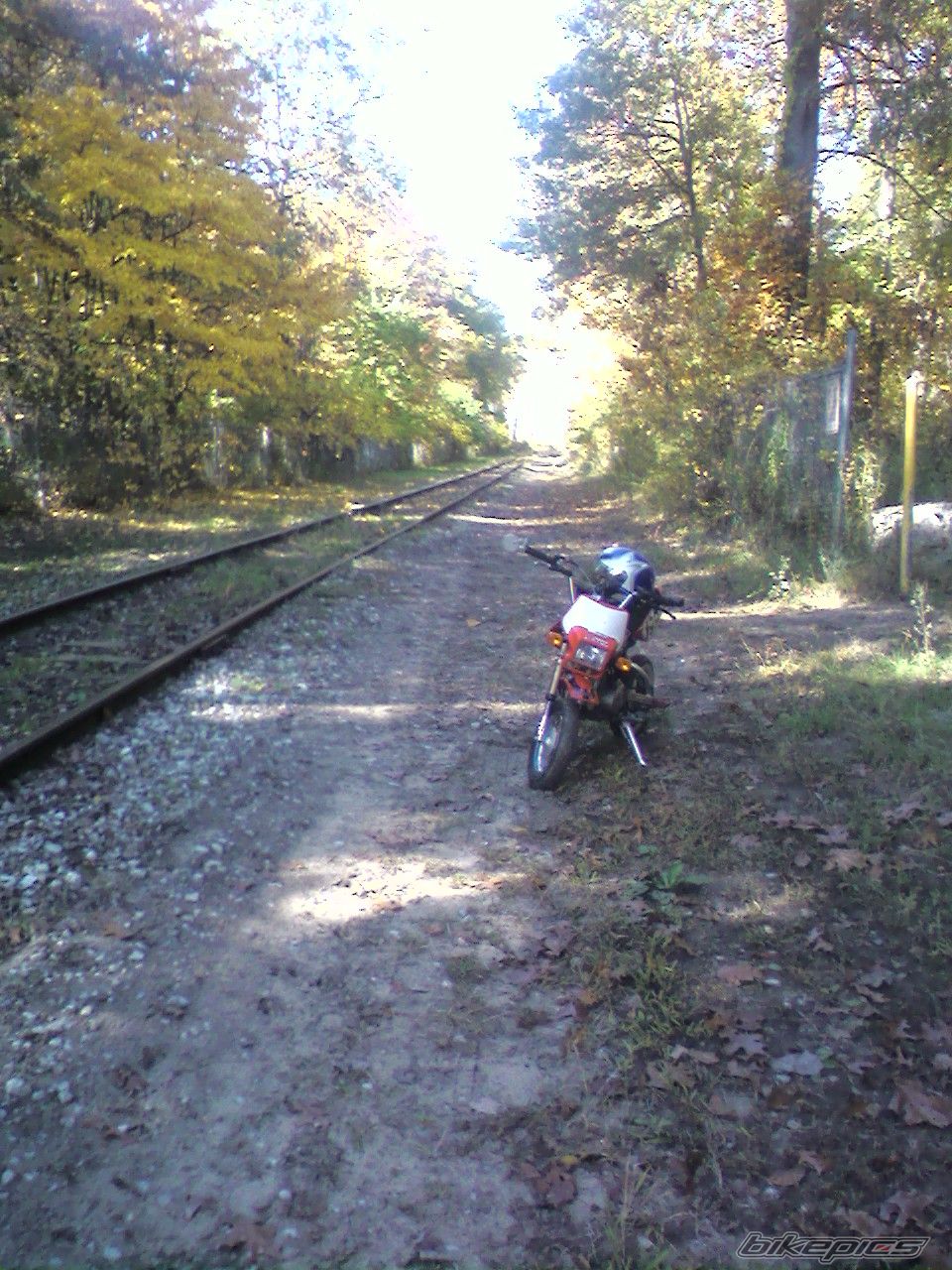 Photo 1464515