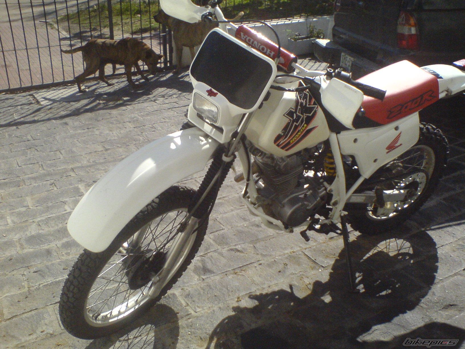 Photo 1464529
