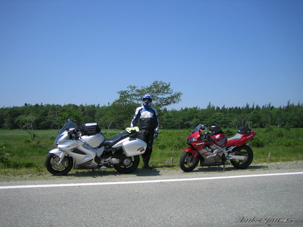 Photo 1464561