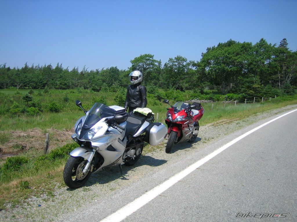 Photo 1464562