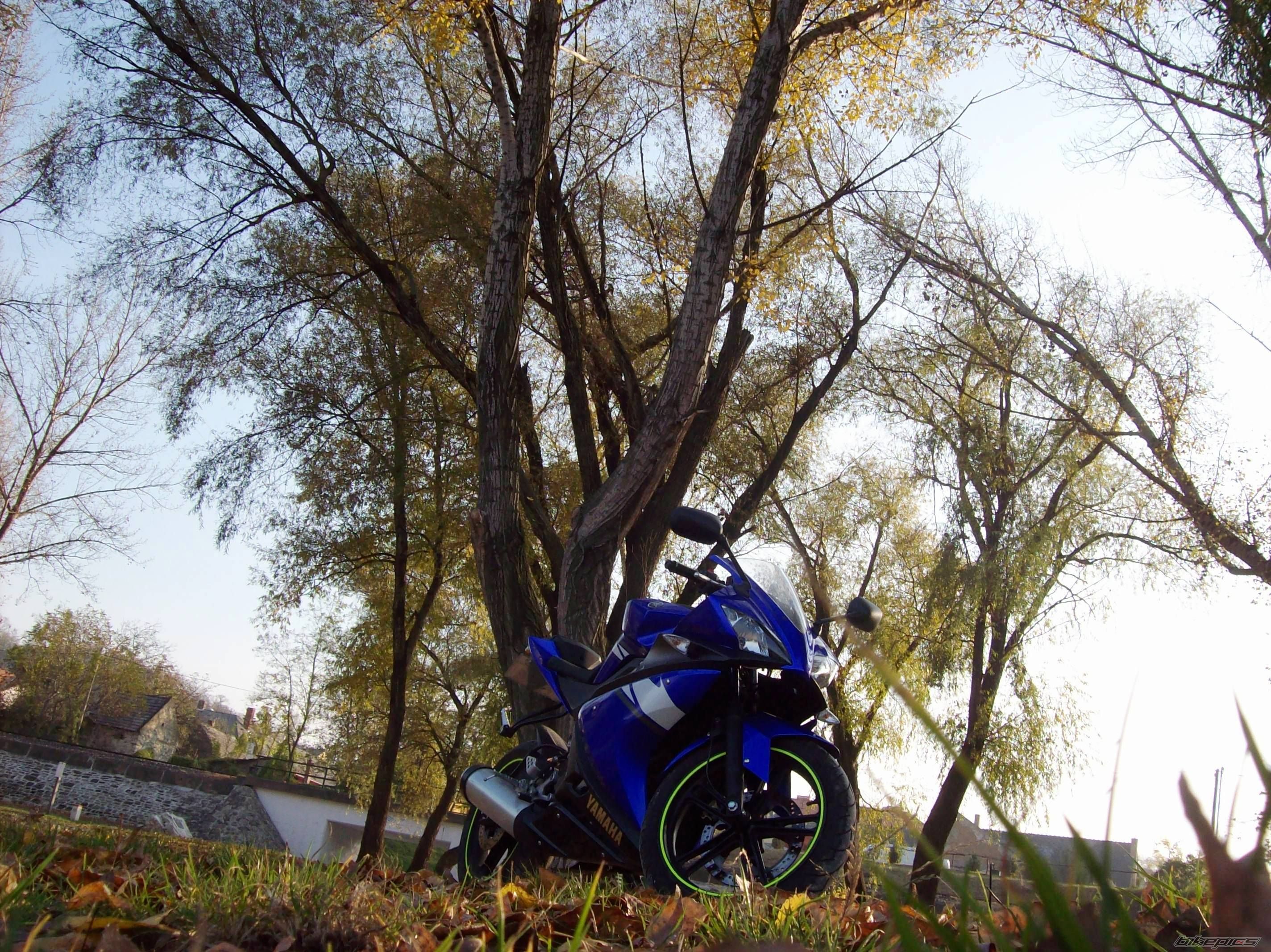 Photo 1464593