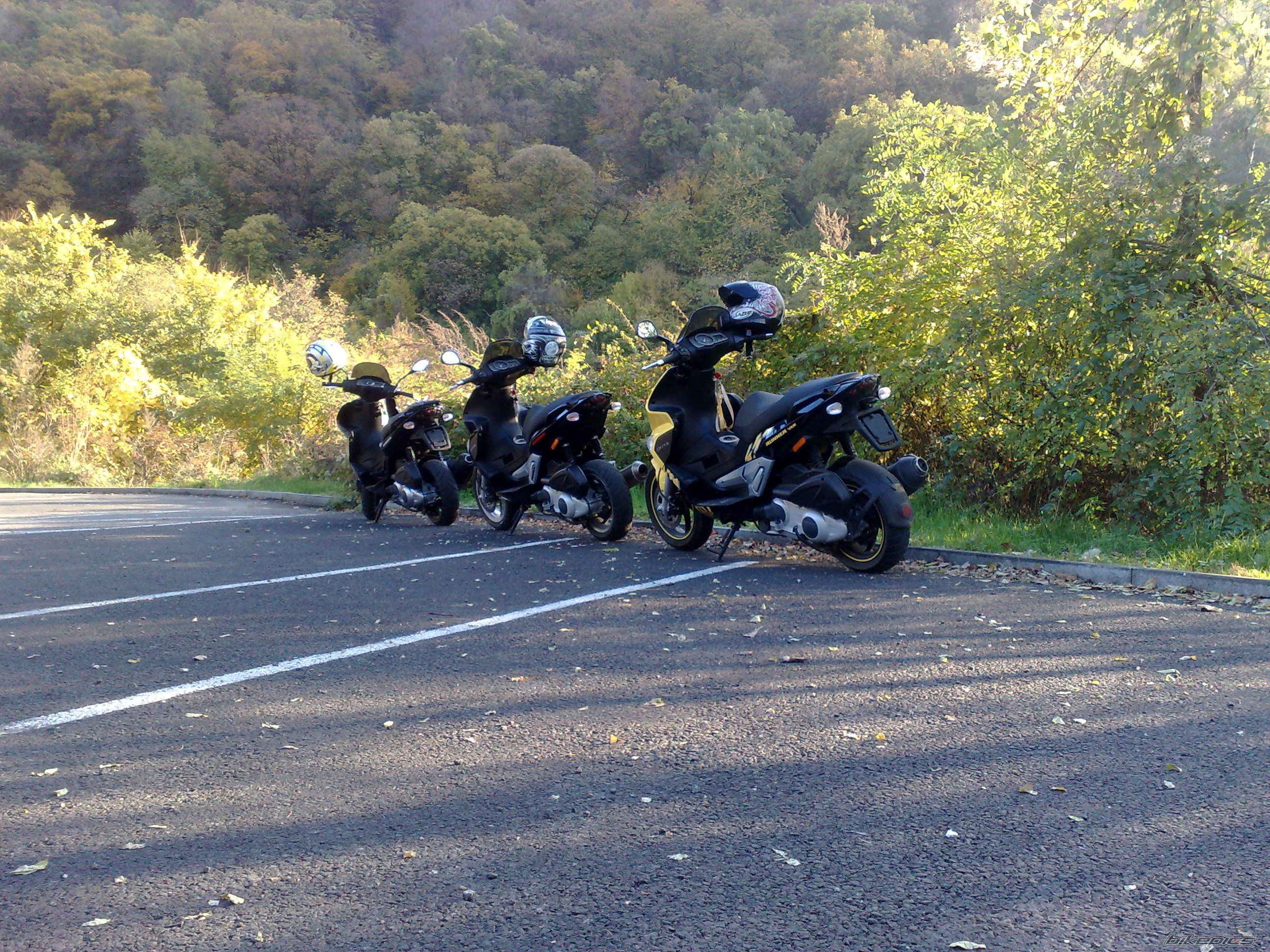 Photo 1464649