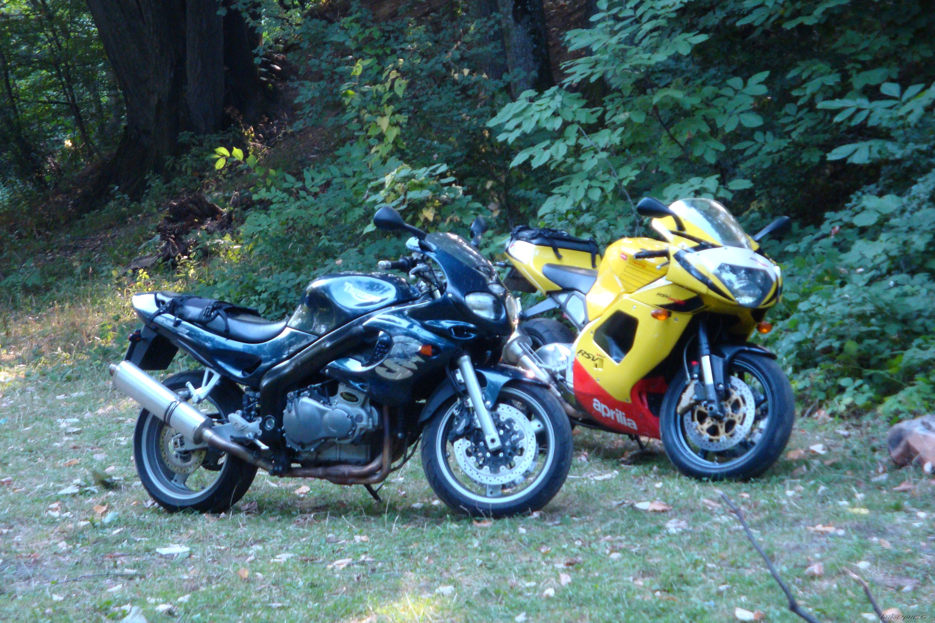 Photo 1464673