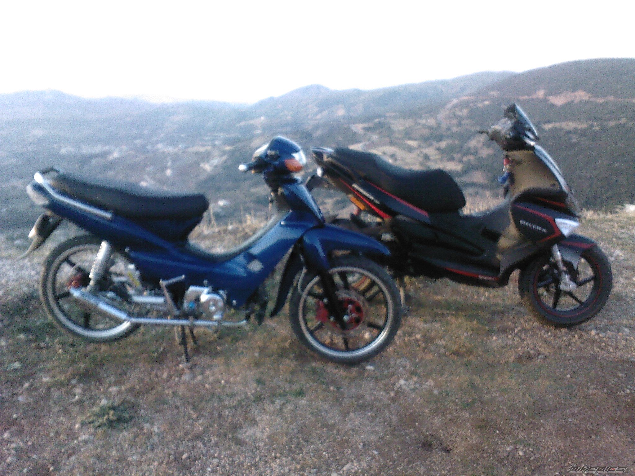 Photo 1464685