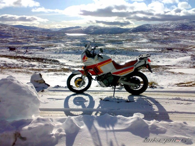Photo 1464712