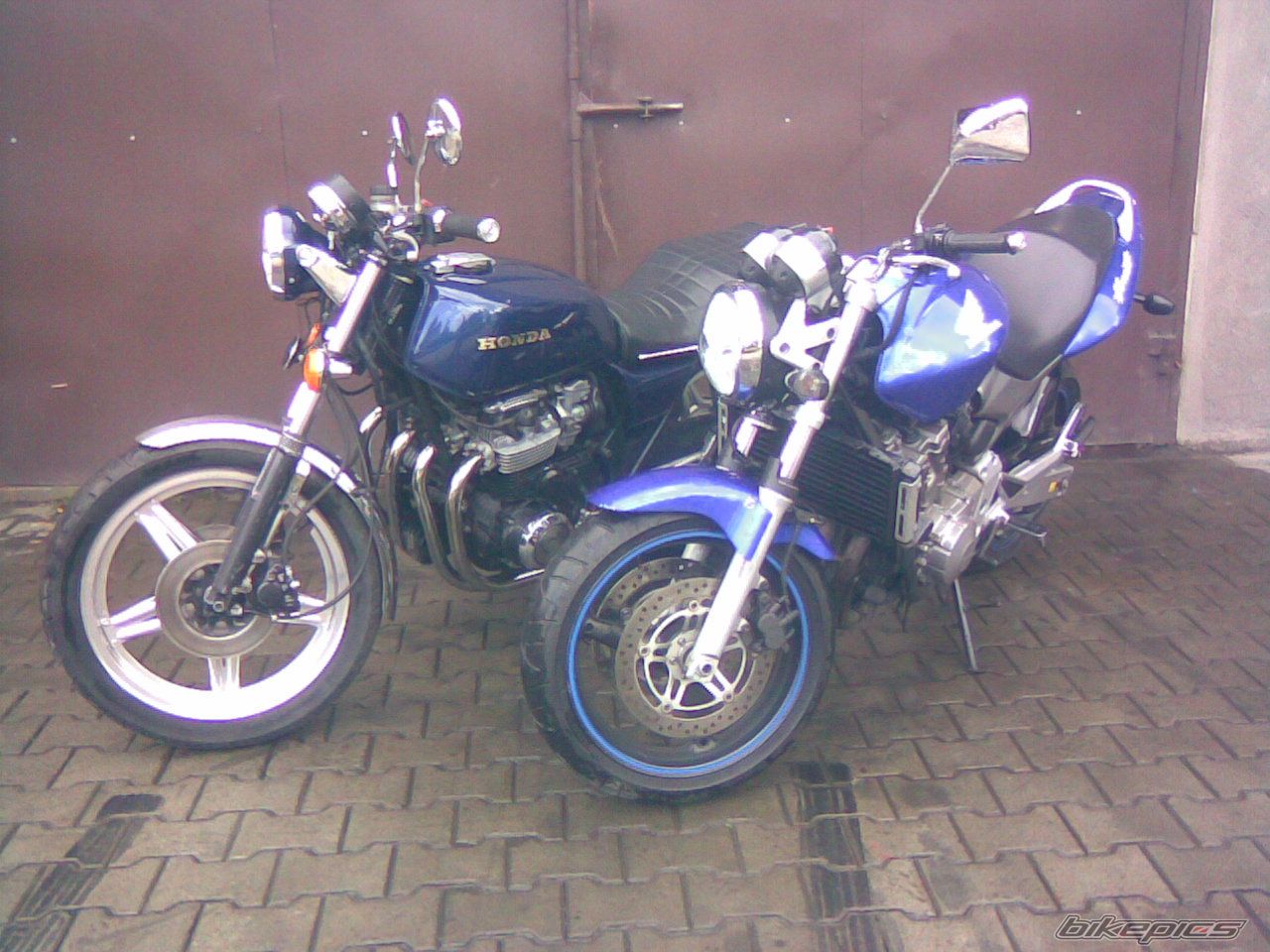 Photo 1464725