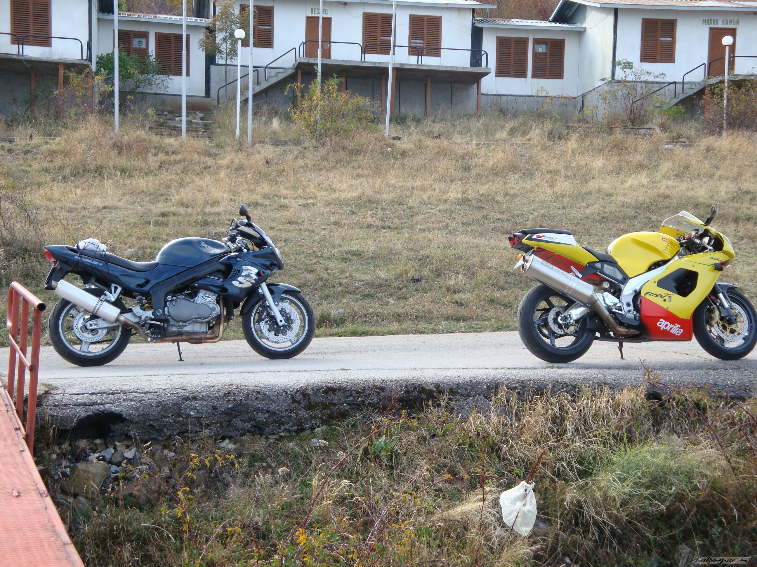 Photo 1464735