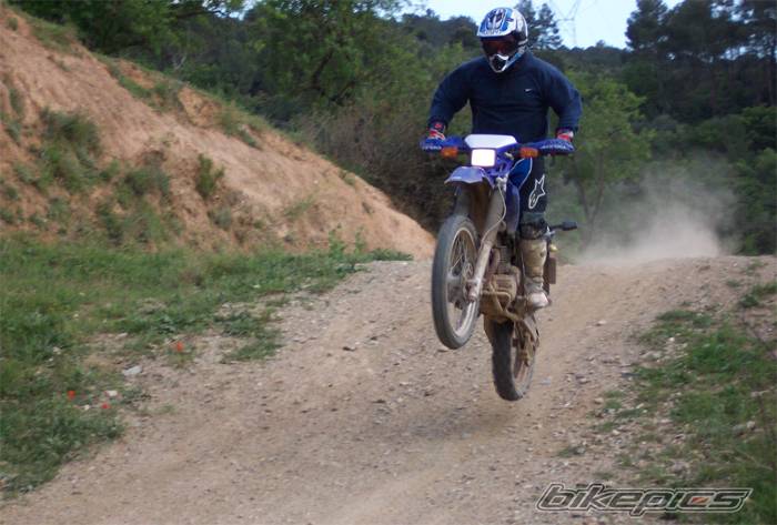 Photo 146475