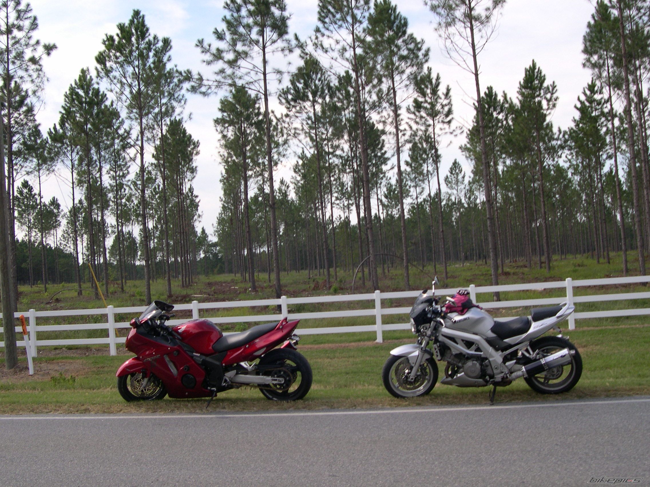 Photo 1464752