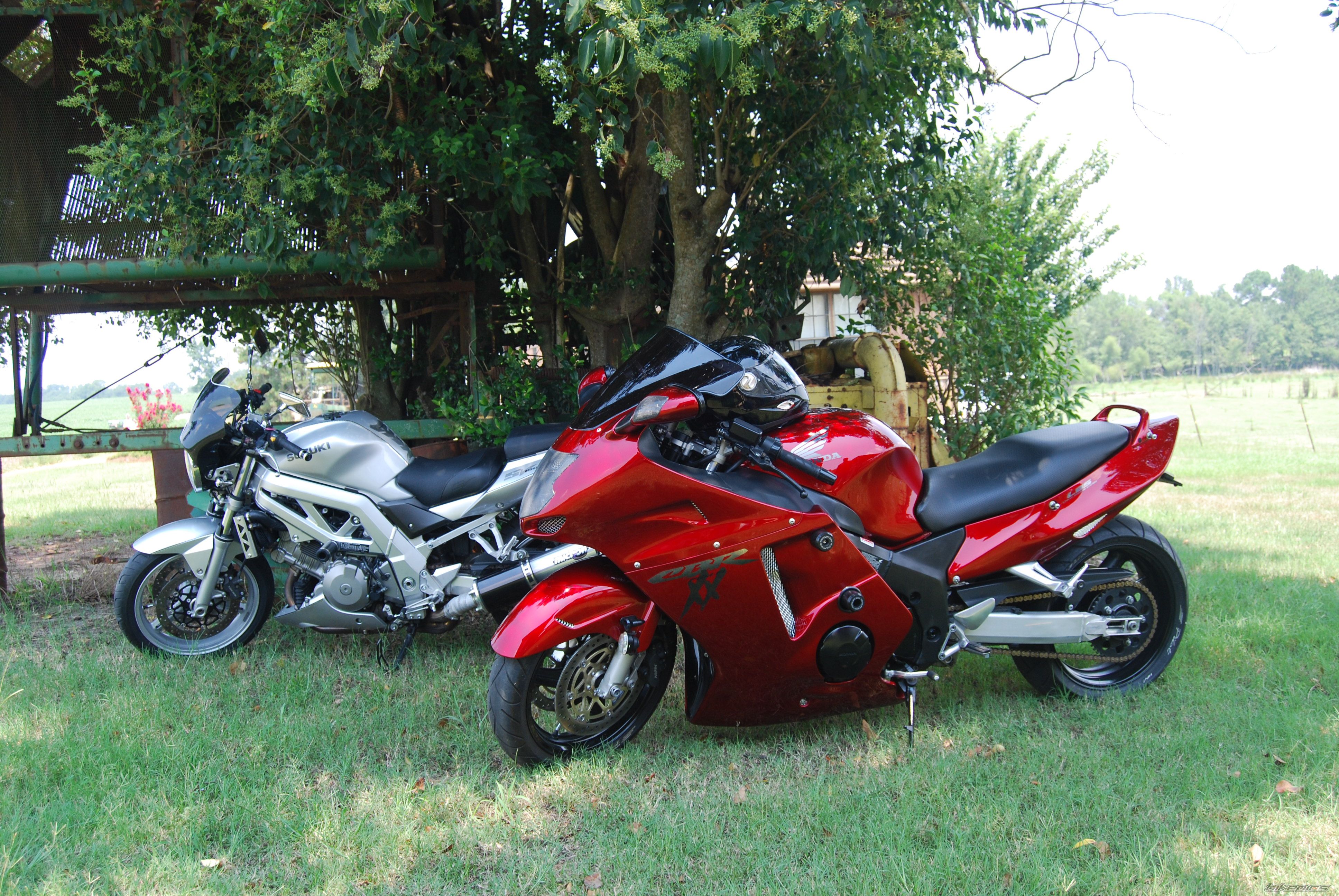 Photo 1464772