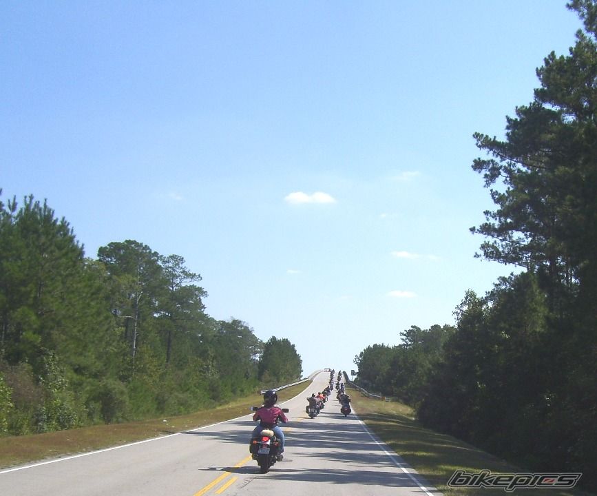 Photo 1464811