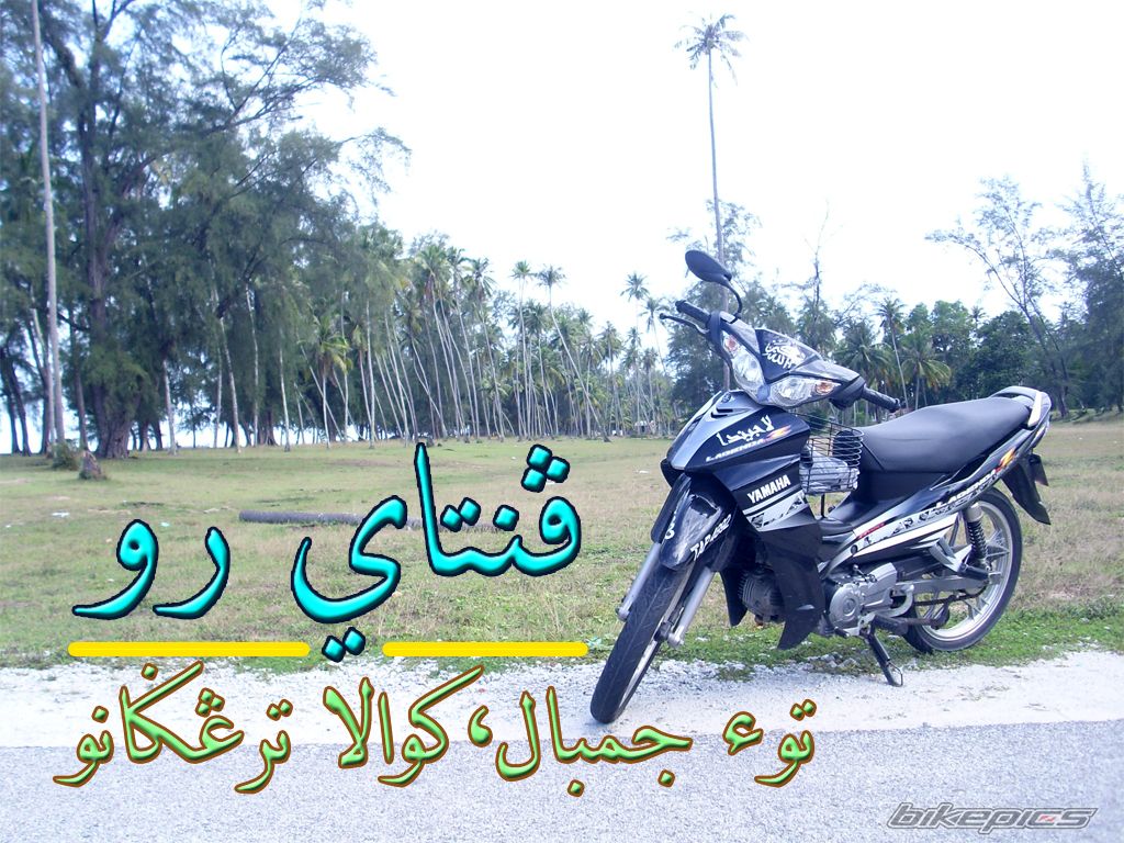 Photo 1464849