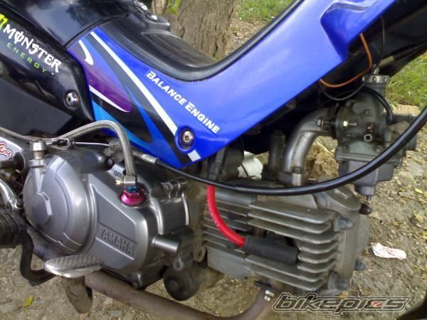 Photo 1464855